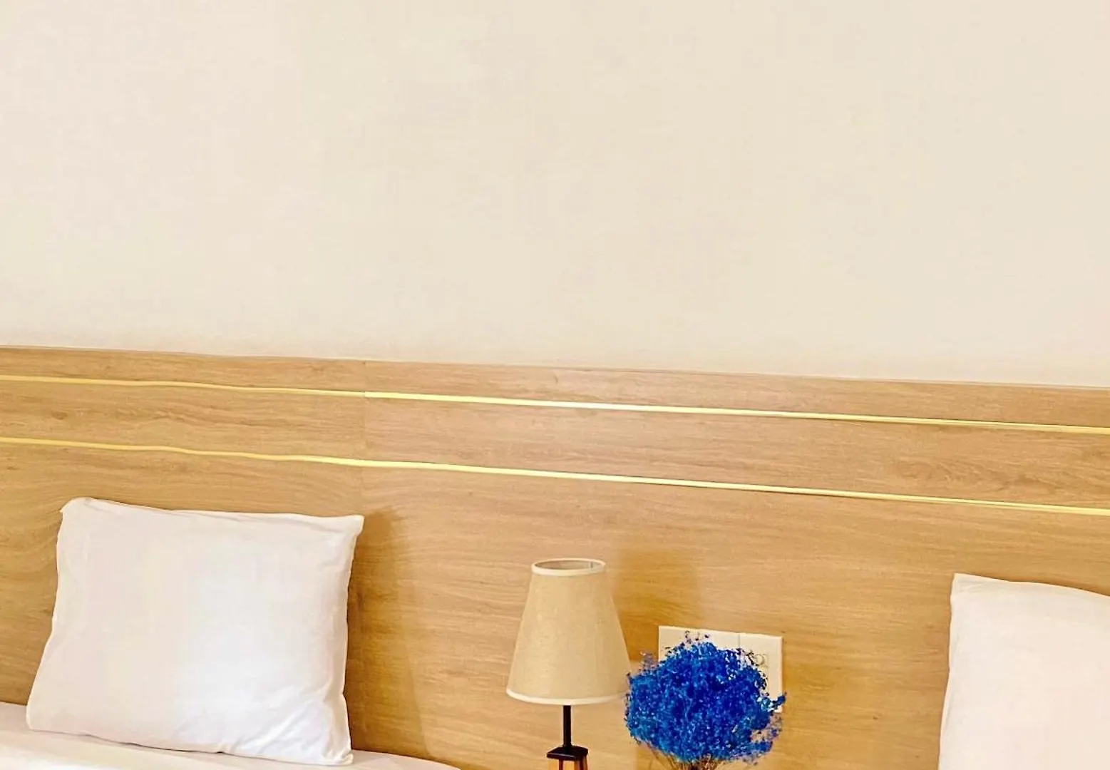 Olwen Hotel Nha Trang